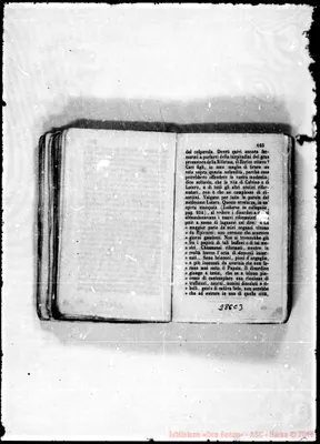 Fotogramma C 3