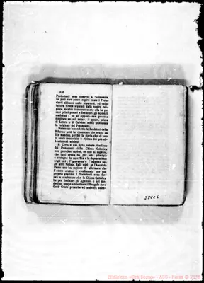 Fotogramma C 6