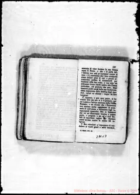 Fotogramma C 7