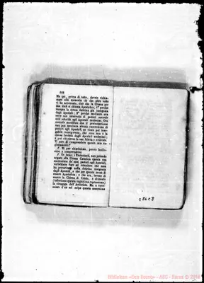 Fotogramma C 8