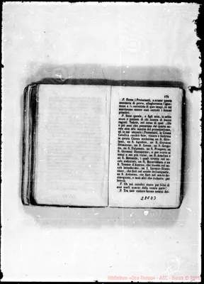 Fotogramma D 3