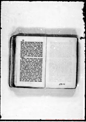 Fotogramma D 4