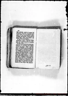 Fotogramma D 6