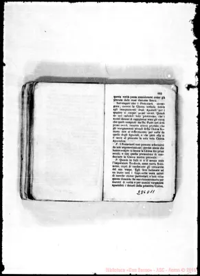 Fotogramma D 11