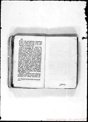 Fotogramma E 2