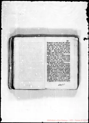 Fotogramma E 5