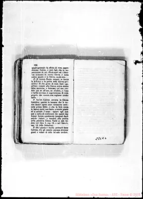 Fotogramma E 6