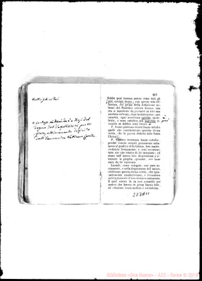 Fotogramma A 11