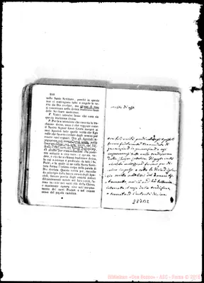 Fotogramma B 2