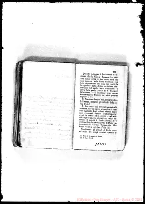 Fotogramma B 3