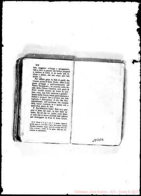 Fotogramma B 4