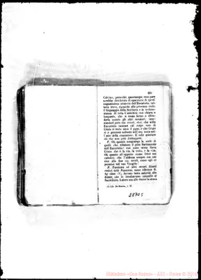 Fotogramma C 5