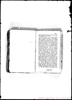 Fotogramma C 7