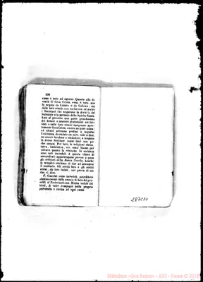 Fotogramma C 10
