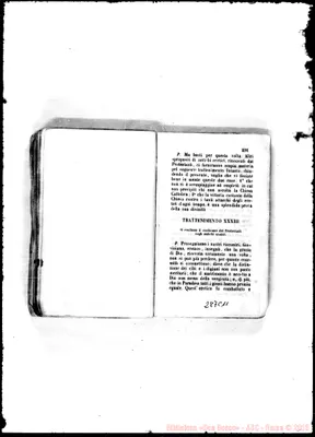 Fotogramma C 11