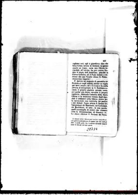 Fotogramma D 4