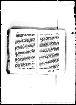 Fotogramma D 5