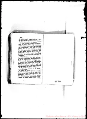 Fotogramma D 6