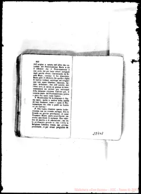 Fotogramma D 8