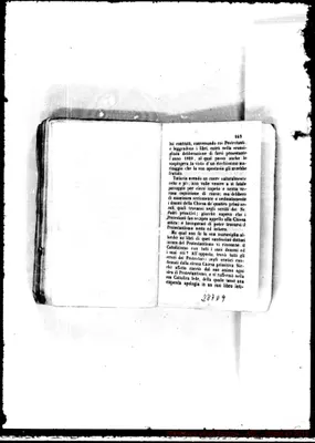 Fotogramma D 9