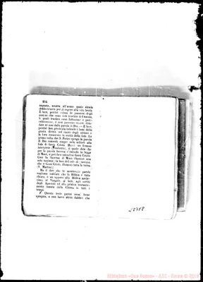 Fotogramma E 8