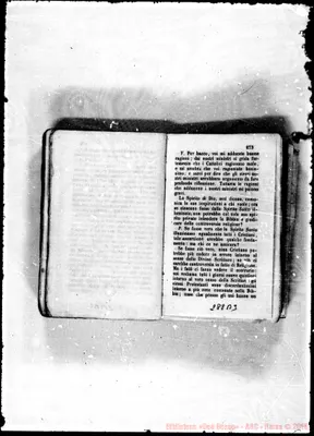 Fotogramma B 3