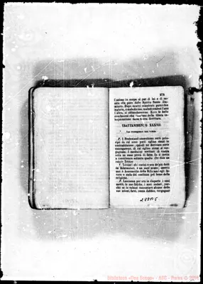 Fotogramma B 5