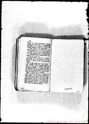 Fotogramma B 6