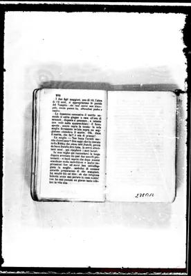 Fotogramma B 12