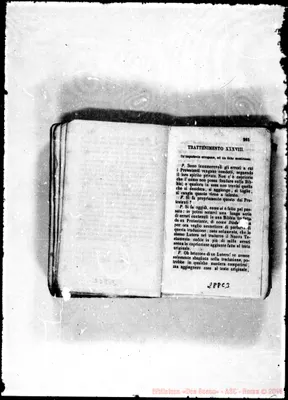 Fotogramma C 3