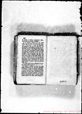 Fotogramma C 4