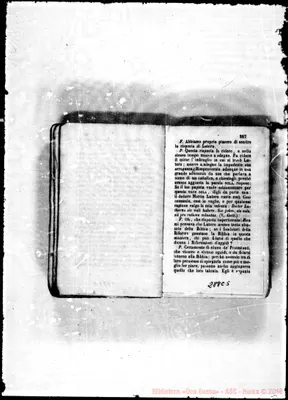 Fotogramma C 5