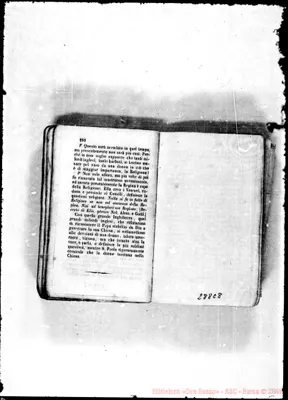 Fotogramma C 8