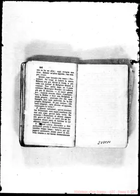 Fotogramma C 10