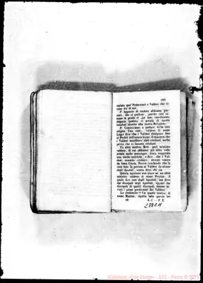 Fotogramma C 11