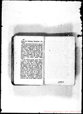 Fotogramma D 2