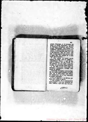 Fotogramma D 3