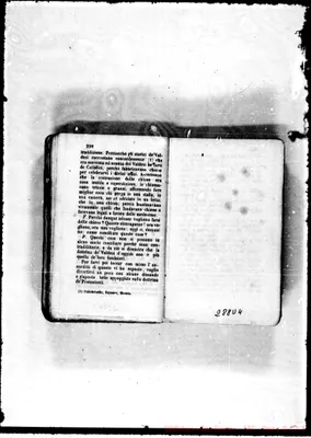 Fotogramma D 4