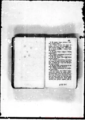 Fotogramma D 5