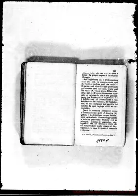 Fotogramma D 11