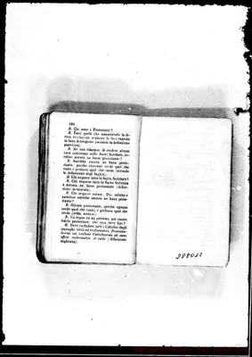 Fotogramma D 12