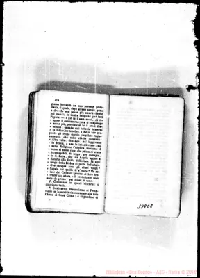 Fotogramma E 8