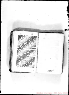 Fotogramma E 10