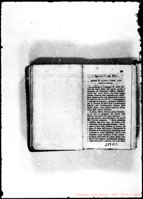 Fotogramma B 3