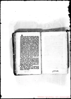 Fotogramma B 6
