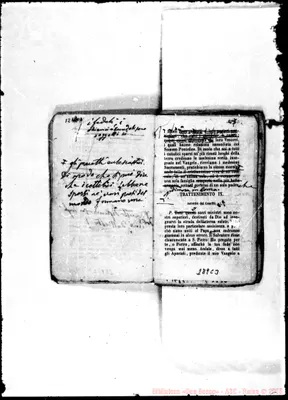Fotogramma C 3