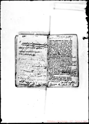Fotogramma C 5