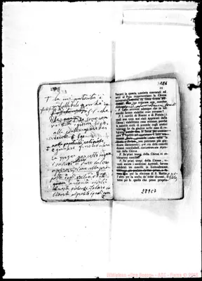 Fotogramma C 7