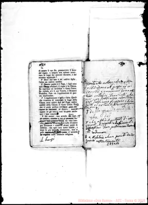 Fotogramma C 10