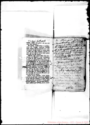 Fotogramma D 2